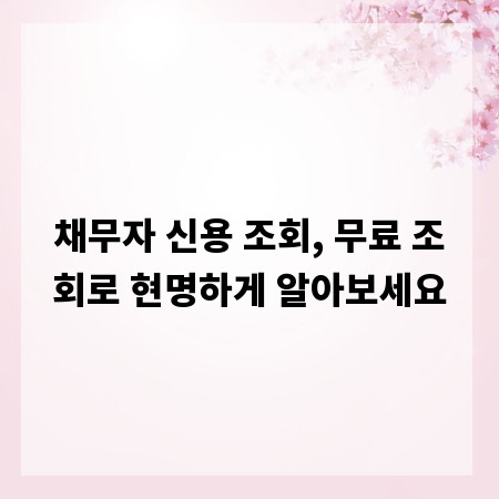 채무자 신용 조회, 무료 조회로 현명하게 알아보세요