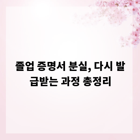 졸업 증명서 분실, 다시 발급받는 과정 총정리
