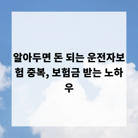 알아두면 돈 되는 운전자보험 중복, 보험금 받는 노하우