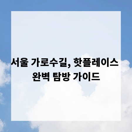 서울 가로수길, 핫플레이스 완벽 탐방 가이드
