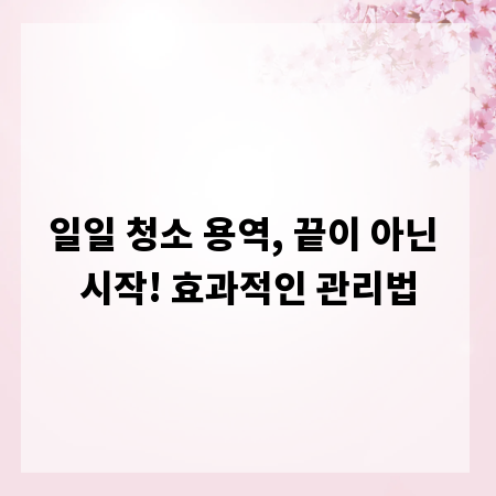 일일 청소 용역, 끝이 아닌 시작! 효과적인 관리법