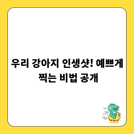우리 강아지 인생샷! 예쁘게 찍는 비법 공개