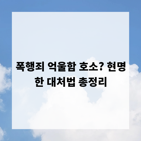 폭행죄 억울함 호소? 현명한 대처법 총정리