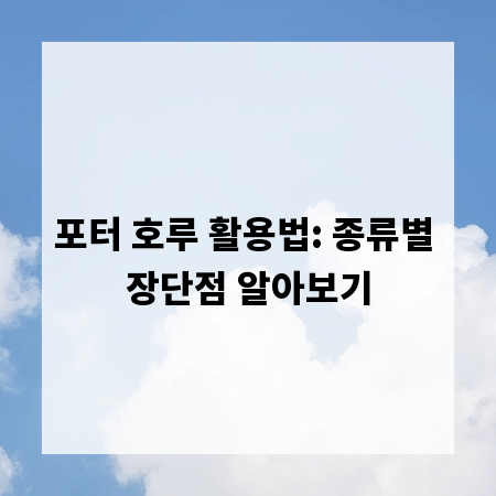 포터 호루 활용법: 종류별 장단점 알아보기