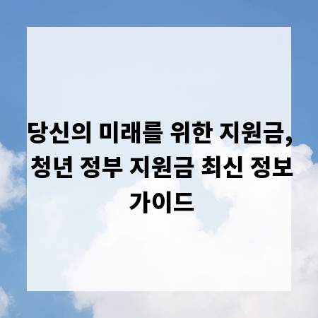 당신의 미래를 위한 지원금, 청년 정부 지원금 최신 정보 가이드