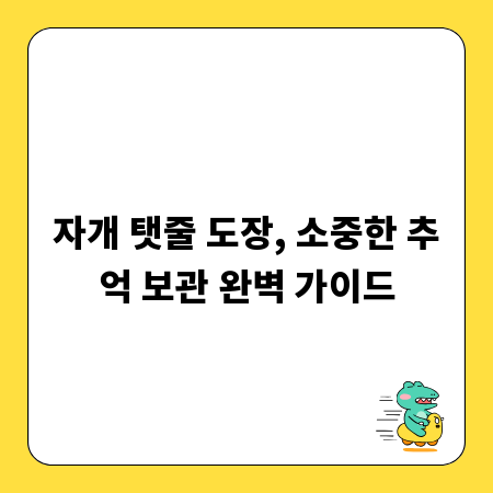 자개 탯줄 도장, 소중한 추억 보관 완벽 가이드