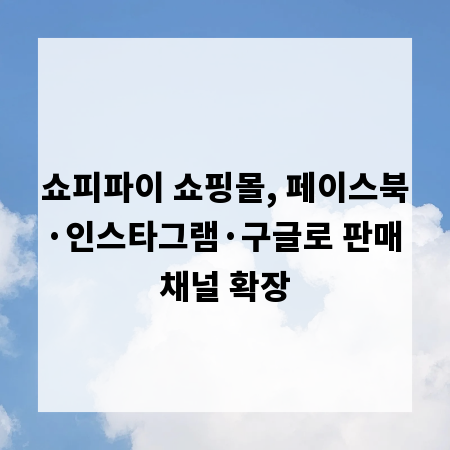 쇼피파이 쇼핑몰, 페이스북·인스타그램·구글로 판매 채널 확장