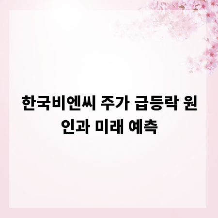 한국비엔씨 주가 급등락 원인과 미래 예측
