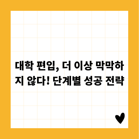 대학 편입, 더 이상 막막하지 않다! 단계별 성공 전략
