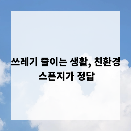 쓰레기 줄이는 생활, 친환경 스폰지가 정답