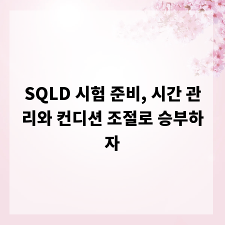 SQLD 시험 준비, 시간 관리와 컨디션 조절로 승부하자