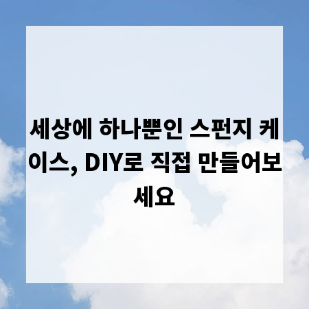 세상에 하나뿐인 스펀지 케이스, DIY로 직접 만들어보세요