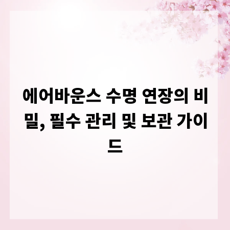 에어바운스 수명 연장의 비밀, 필수 관리 및 보관 가이드