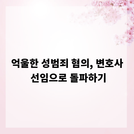 억울한 성범죄 혐의, 변호사 선임으로 돌파하기