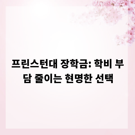프린스턴대 장학금: 학비 부담 줄이는 현명한 선택