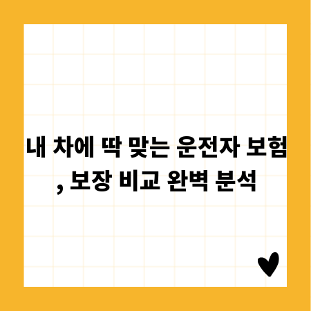 내 차에 딱 맞는 운전자 보험, 보장 비교 완벽 분석