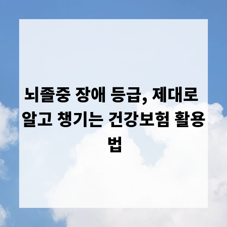뇌졸중 장애 등급, 제대로 알고 챙기는 건강보험 활용법