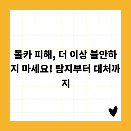 몰카 피해, 더 이상 불안하지 마세요! 탐지부터 대처까지
