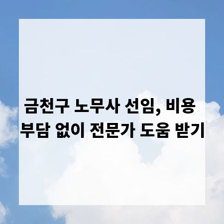 금천구 노무사 선임, 비용 부담 없이 전문가 도움 받기