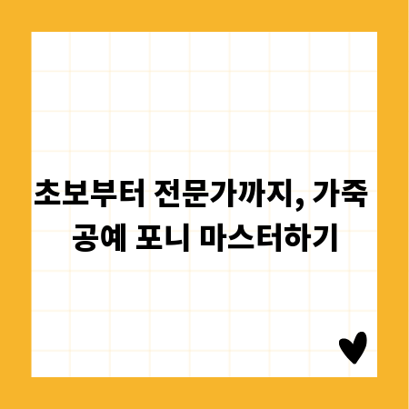 초보부터 전문가까지, 가죽 공예 포니 마스터하기