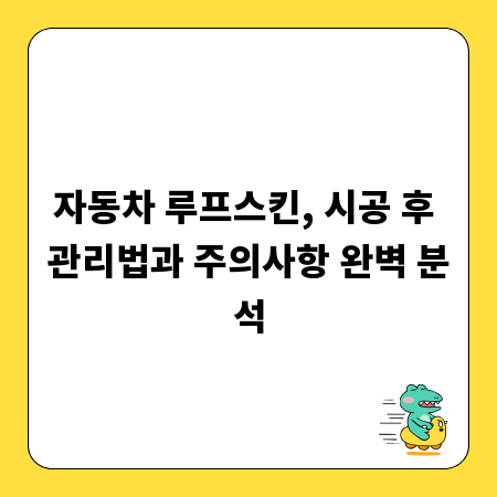자동차 루프스킨, 시공 후 관리법과 주의사항 완벽 분석