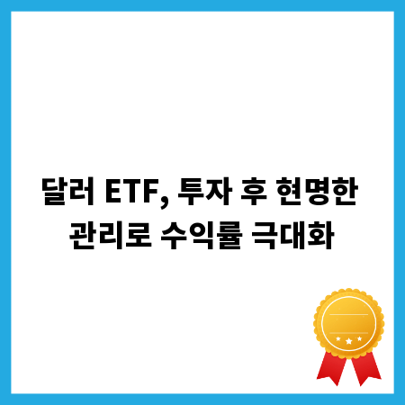 달러 ETF, 투자 후 현명한 관리로 수익률 극대화
