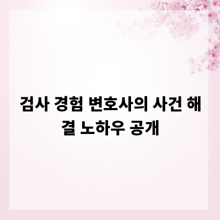 검사 경험 변호사의 사건 해결 노하우 공개