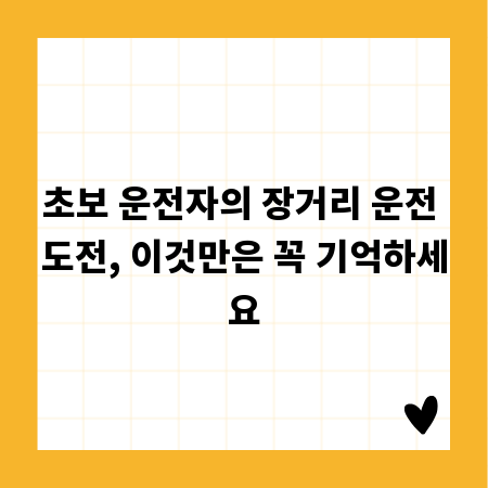 초보 운전자의 장거리 운전 도전, 이것만은 꼭 기억하세요