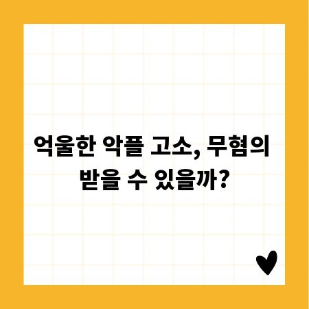 억울한 악플 고소, 무혐의 받을 수 있을까?