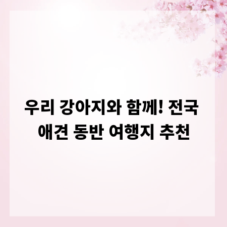 우리 강아지와 함께! 전국 애견 동반 여행지 추천
