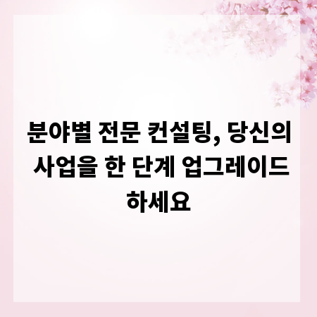 분야별 전문 컨설팅, 당신의 사업을 한 단계 업그레이드하세요