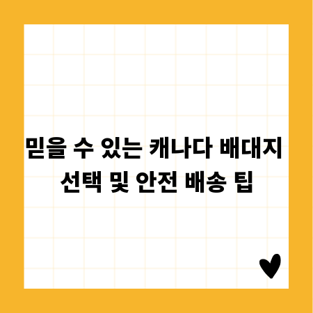 믿을 수 있는 캐나다 배대지 선택 및 안전 배송 팁