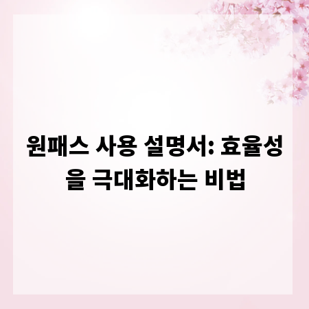 원패스 사용 설명서: 효율성을 극대화하는 비법