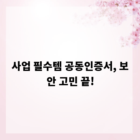 사업 필수템 공동인증서, 보안 고민 끝!