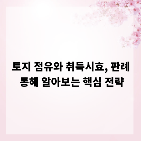 토지 점유와 취득시효, 판례 통해 알아보는 핵심 전략