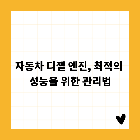자동차 디젤 엔진, 최적의 성능을 위한 관리법