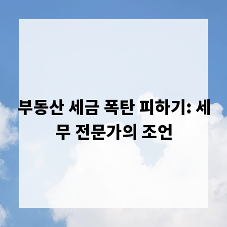 부동산 세금 폭탄 피하기: 세무 전문가의 조언