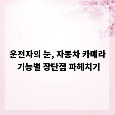 운전자의 눈, 자동차 카메라 기능별 장단점 파헤치기