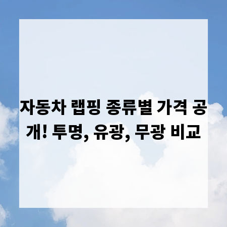 자동차 랩핑 종류별 가격 공개! 투명, 유광, 무광 비교