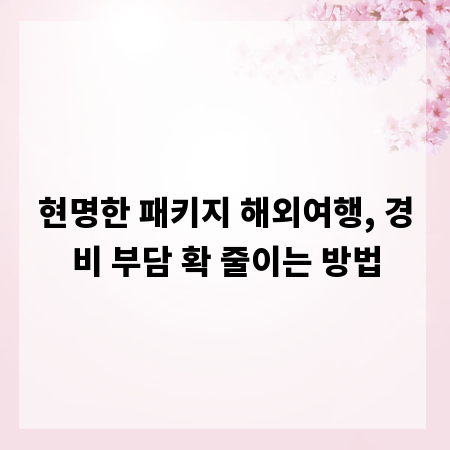 현명한 패키지 해외여행, 경비 부담 확 줄이는 방법