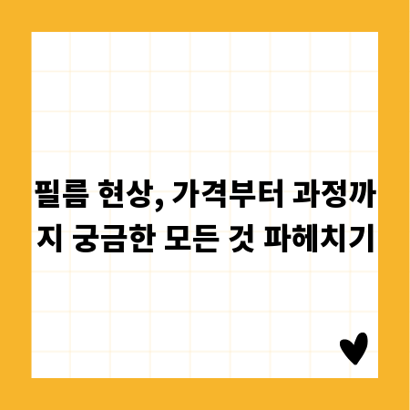 필름 현상, 가격부터 과정까지 궁금한 모든 것 파헤치기
