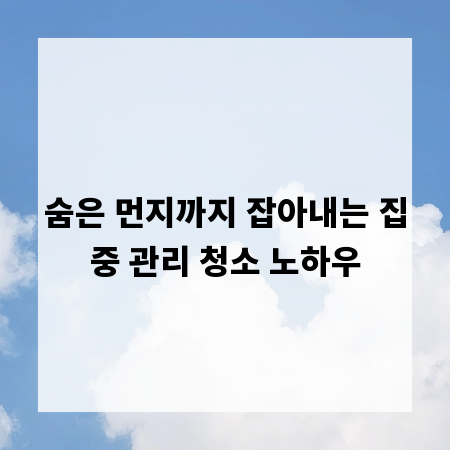 숨은 먼지까지 잡아내는 집중 관리 청소 노하우