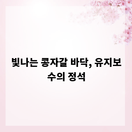 빛나는 콩자갈 바닥, 유지보수의 정석