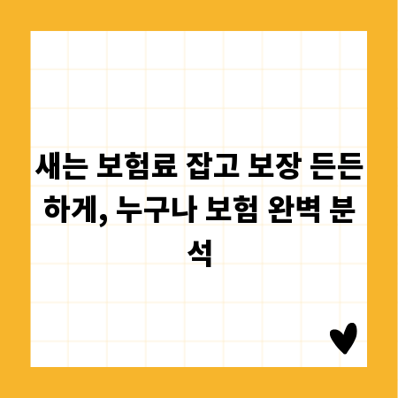 새는 보험료 잡고 보장 든든하게, 누구나 보험 완벽 분석
