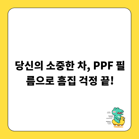당신의 소중한 차, PPF 필름으로 흠집 걱정 끝!