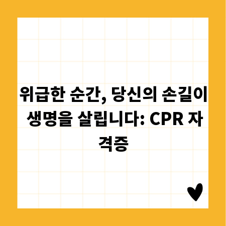 위급한 순간, 당신의 손길이 생명을 살립니다: CPR 자격증