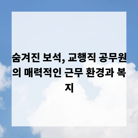 숨겨진 보석, 교행직 공무원의 매력적인 근무 환경과 복지