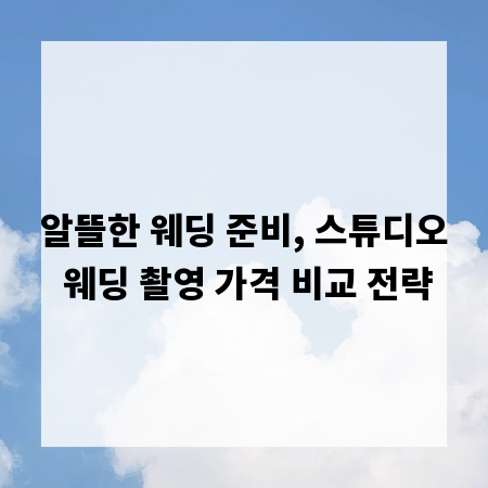 알뜰한 웨딩 준비, 스튜디오 웨딩 촬영 가격 비교 전략