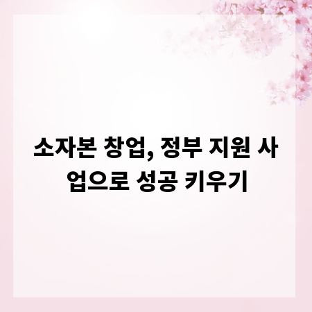 소자본 창업, 정부 지원 사업으로 성공 키우기