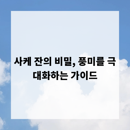 사케 잔의 비밀, 풍미를 극대화하는 가이드